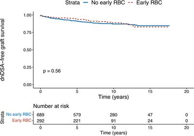 Early Blood Transfusion After Kidney Transplantation Does Not Lead to dnDSA Development: The BloodIm Study